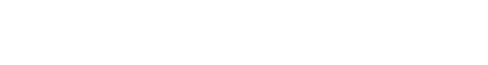 Touched by a Horse