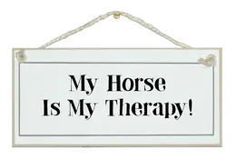 My Horse Is My Therapy
