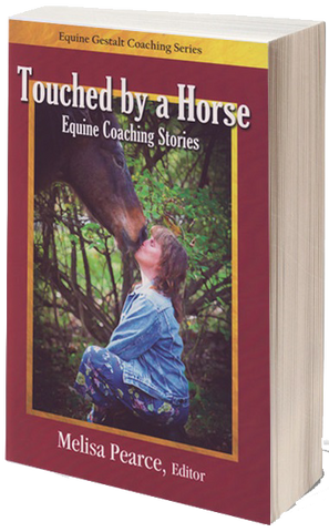 Touched by a Horse Equine Coaching Stories - Volume 1
