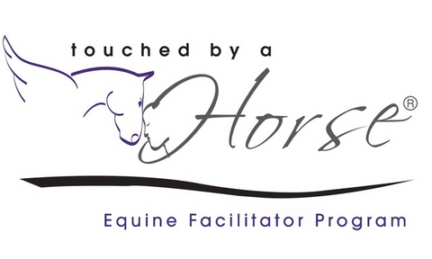 EQ Registration - Art of the Cowgirl Promotional Package