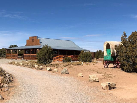 Grad Core 2025 - From Trauma to Resilience Payment Due