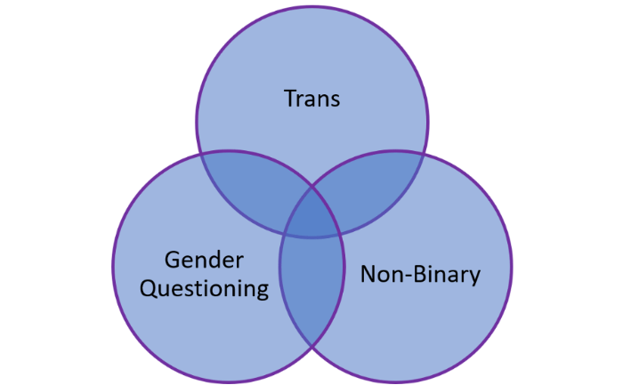 Understanding The Nuances And Complexities Of Working With Gender Dive 