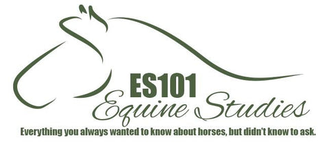 2023 ES 101 - Equine Studies Payment